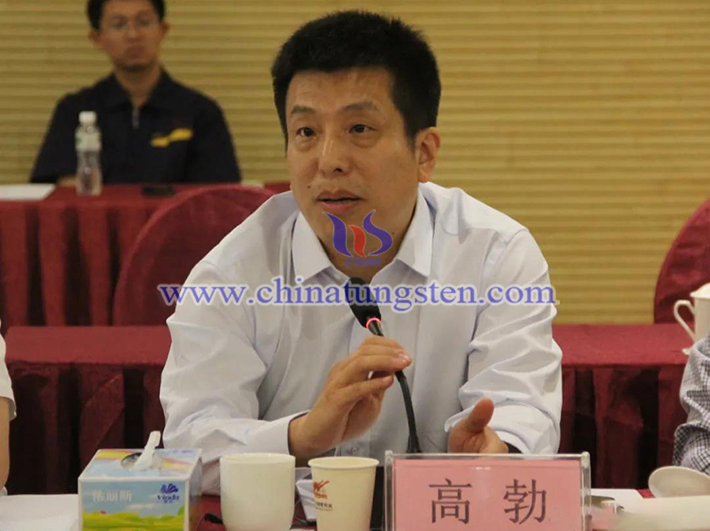 中國鎢業(yè)協(xié)會主席團主席、中鎢高新材料股份有限公司副總經(jīng)理高勃