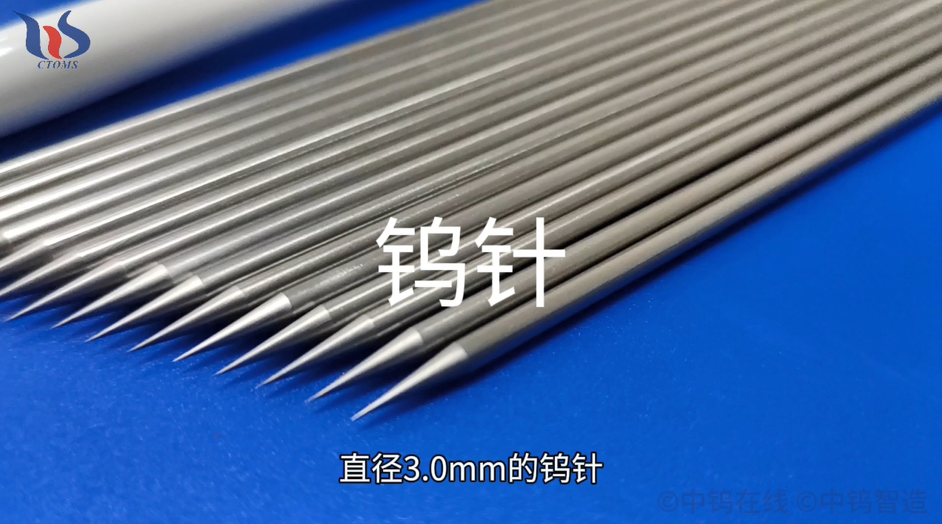 鎢針圖片