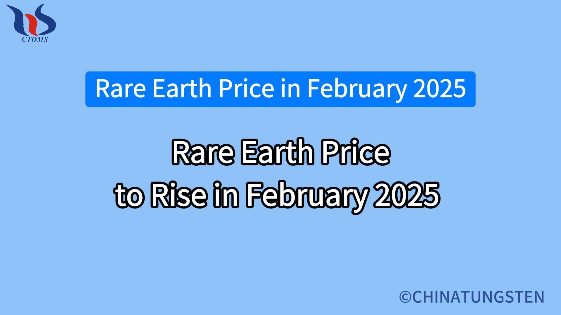 rare earth price to rise in february 2025