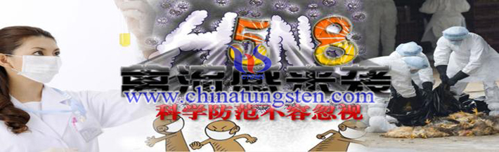 H5N8�DƬ