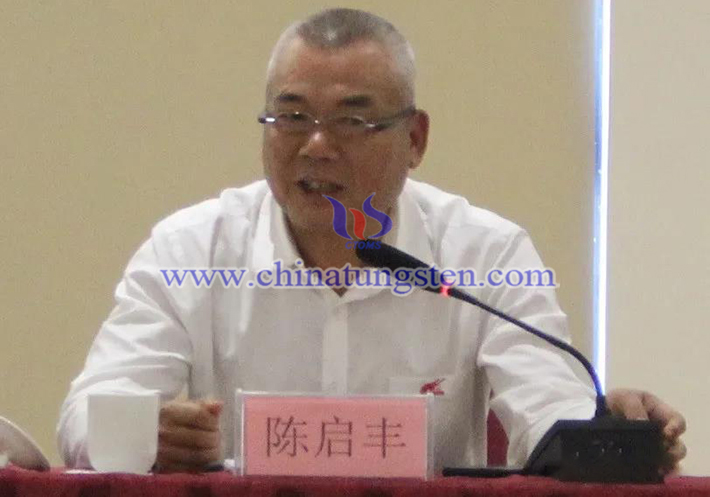 中國鎢業(yè)協(xié)會(huì)主席團(tuán)執(zhí)行主席、廣東翔鷺鎢業(yè)股份有限公司董事長陳啟豐