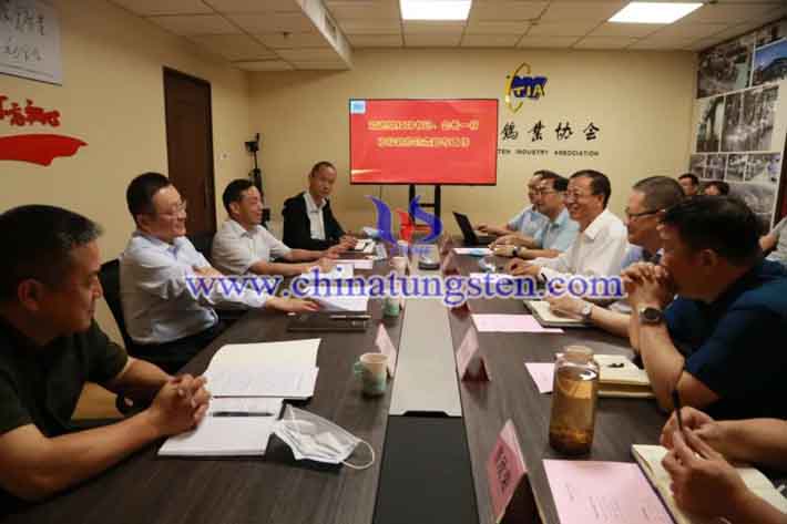 葛紅林書記一行到鎢協(xié)調研指導工作圖片