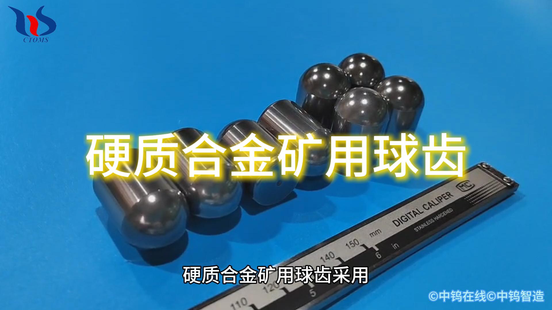 硬質(zhì)合金礦用球齒圖片