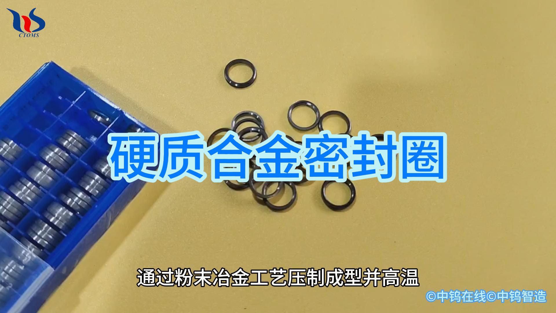 硬質(zhì)合金密封圈圖片