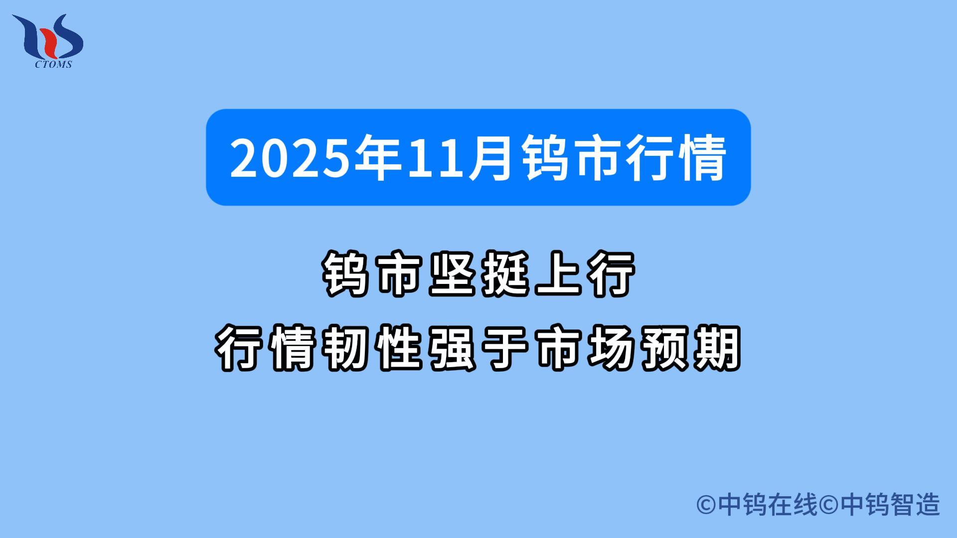 2025年11月鎢價如何
